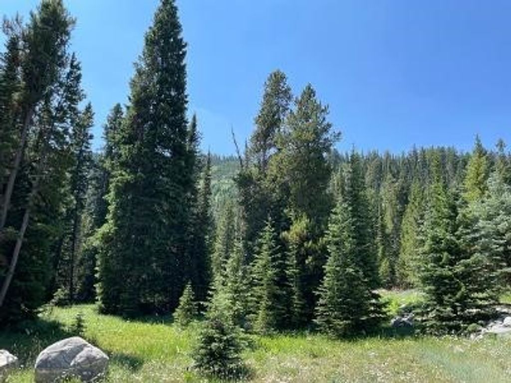 28 LOW DOG Road, Big Sky, MT 59716 photo 10