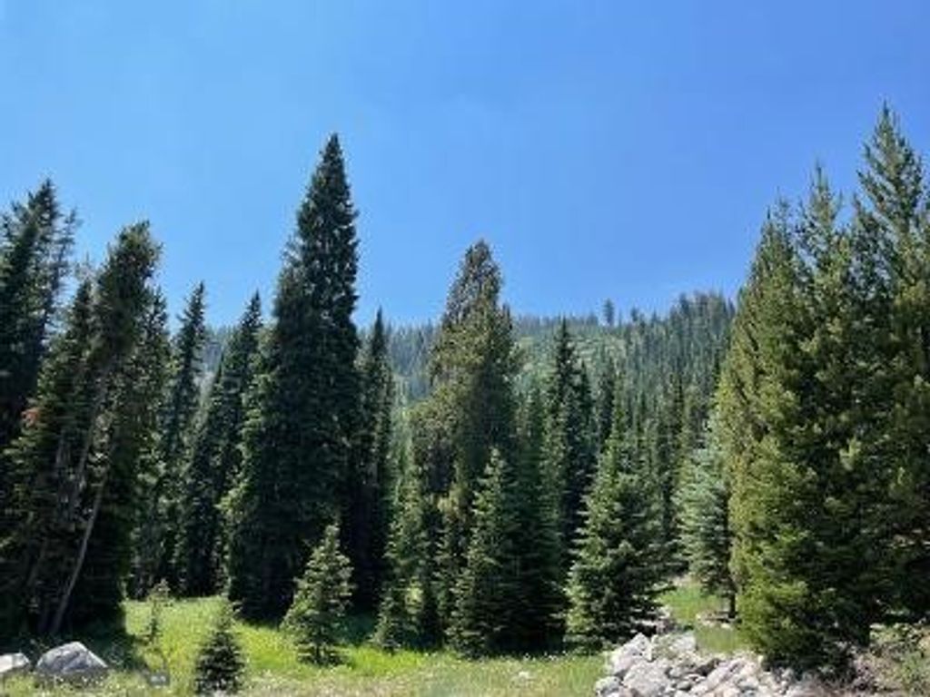 28 LOW DOG Road, Big Sky, MT 59716 photo 4