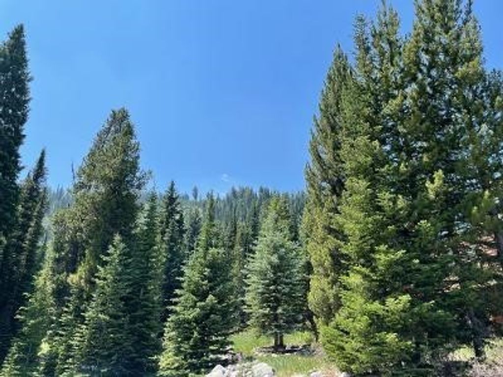 28 LOW DOG Road, Big Sky, MT 59716 photo 5