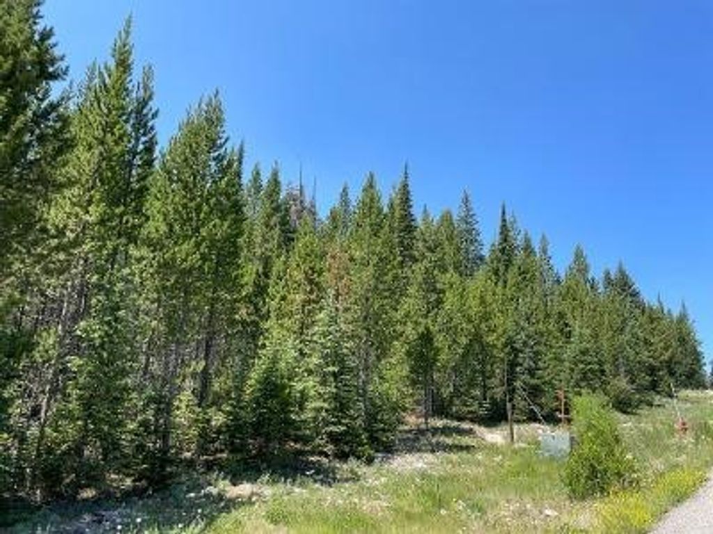 28 LOW DOG Road, Big Sky, MT 59716 photo 6