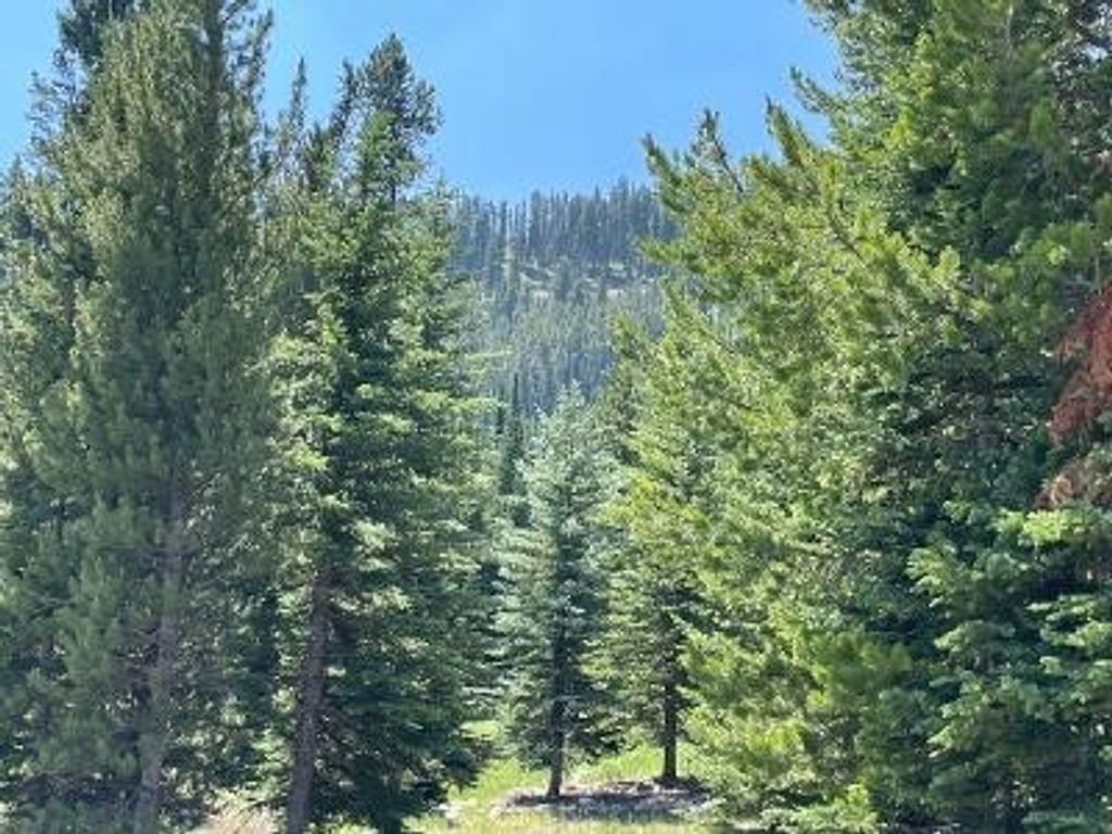 28 LOW DOG Road, Big Sky, MT 59716 photo 8