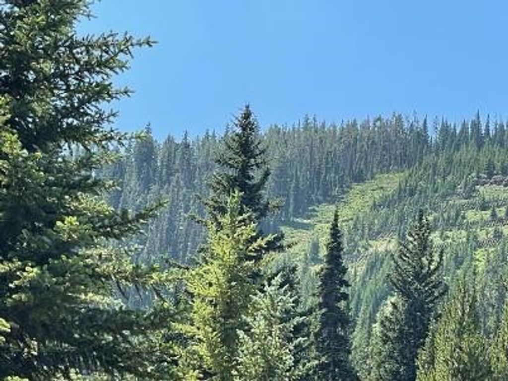 28 LOW DOG Road, Big Sky, MT 59716 photo 9