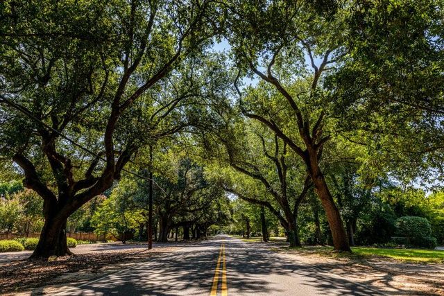 8803 Snelling Drive, Aiken, SC 29803