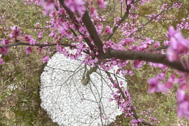 4 Wallace Drive, Merrimack, NH 03054