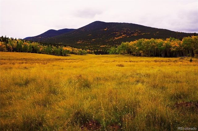 2469 Petito Drive, Fort Garland, CO 81133