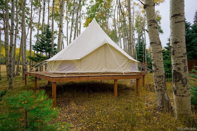 2469 Petito Drive, Fort Garland, CO 81133