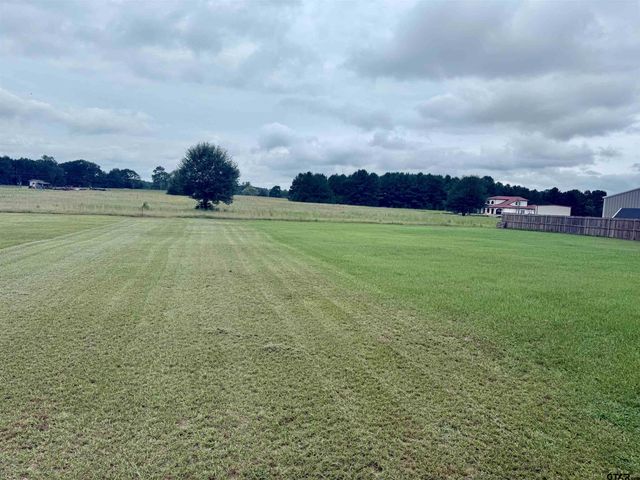 16809 County Road 3224, Winona, TX 75792