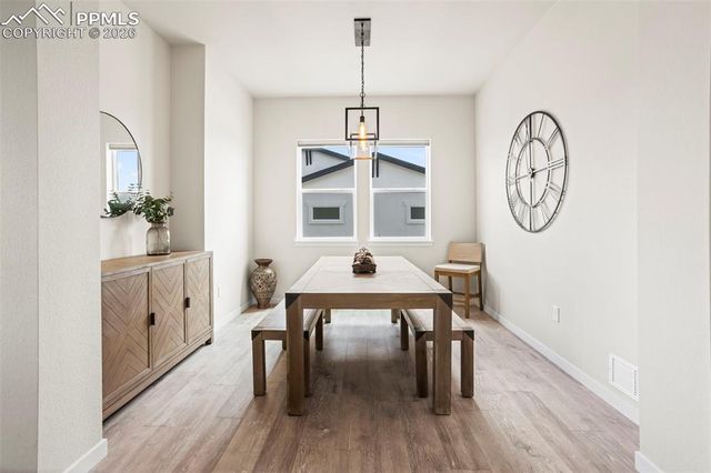 9787 Owl Perch Loop, Colorado Springs, CO 80908