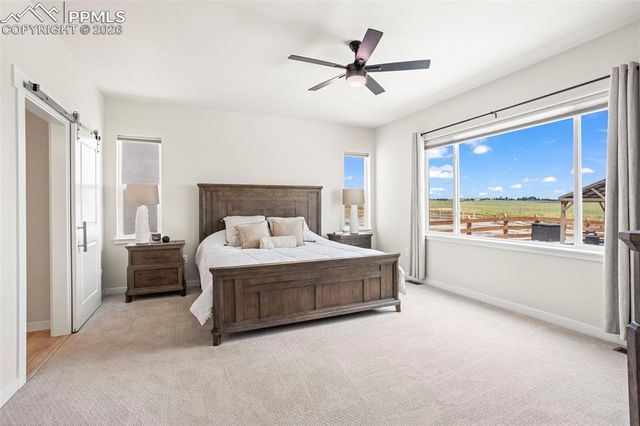 9787 Owl Perch Loop, Colorado Springs, CO 80908