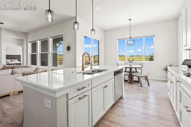 9787 Owl Perch Loop, Colorado Springs, CO 80908