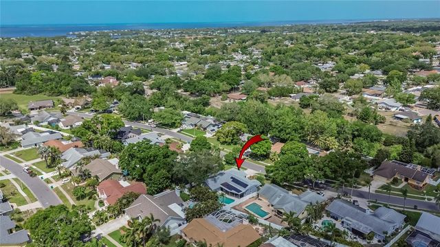 1668 ALLENS RIDGE DRIVE N, Palm Harbor, FL 34683