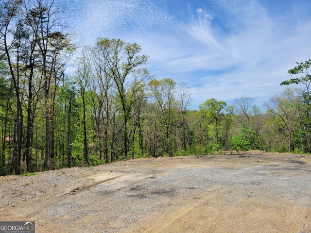 TRACT 2 Old Northcutt Road, Ellijay, GA 30540