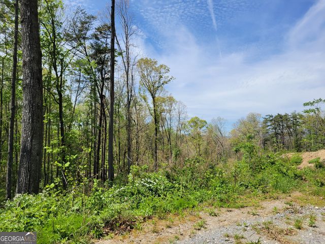 TRACT 2 Old Northcutt Road, Ellijay, GA 30540