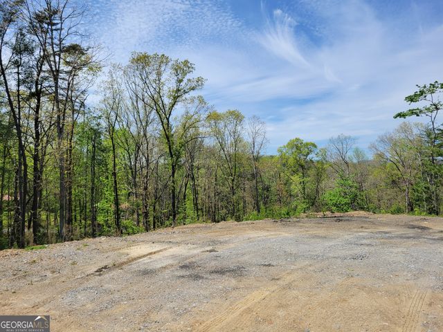 TRACT 2 Old Northcutt Road, Ellijay, GA 30540