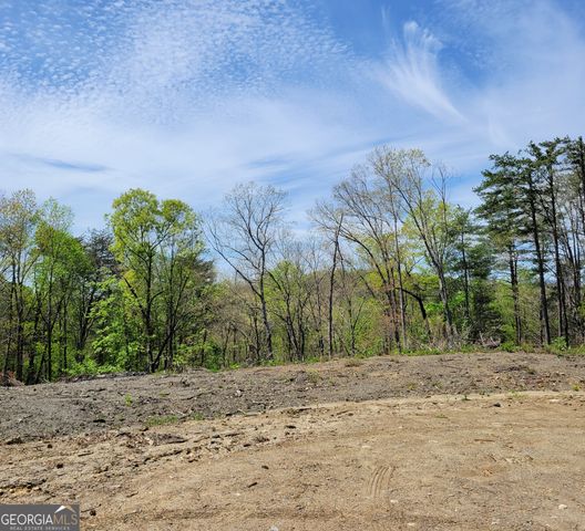 TRACT 2 Old Northcutt Road, Ellijay, GA 30540