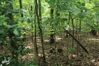 Lot 20 Skid Strip Lane, Hayesville, NC 28904