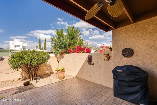 706 W Rushwood Drive, Tucson, AZ 85704