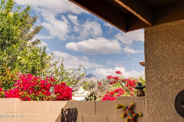 706 W Rushwood Drive, Tucson, AZ 85704