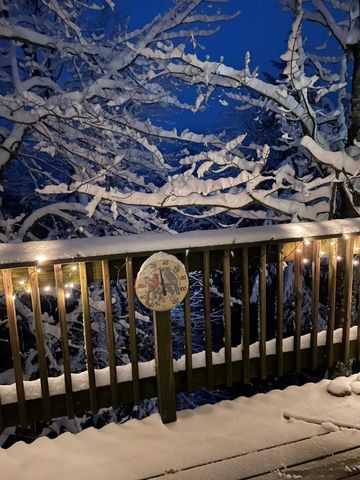 327 Bridges Resort Circle # 45, Warren, VT 05674