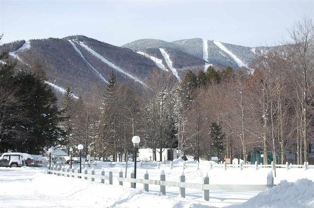 327 Bridges Resort Circle # 45, Warren, VT 05674