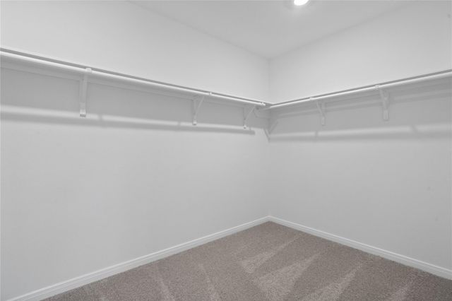 709 Appaloosa Meadow Drive, Magnolia, TX 77354