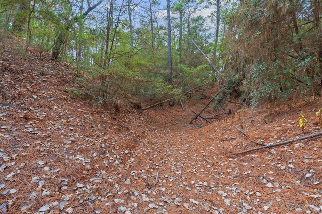 118 & 120 Kamaiki DR, Bastrop, TX 78602