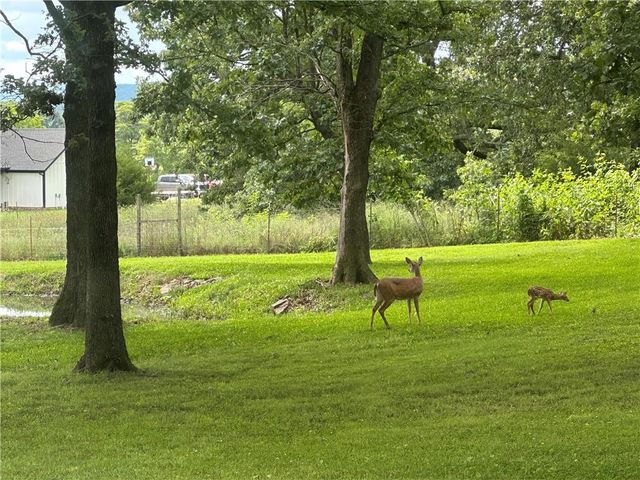 18515 & 18519 Rock Springs Road, Lincoln, AR 72744