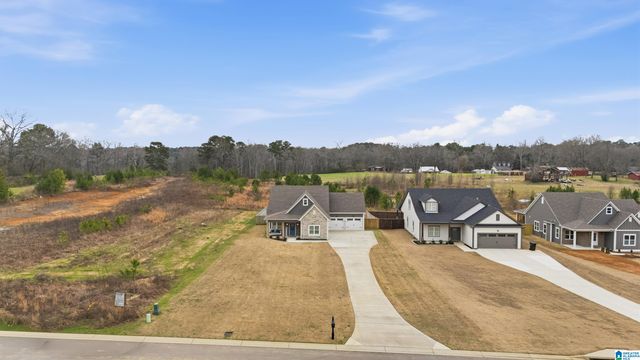 1458 BROOKS DRIVE, Mount Olive, AL 35117