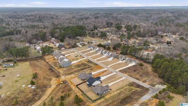 1458 BROOKS DRIVE, Mount Olive, AL 35117