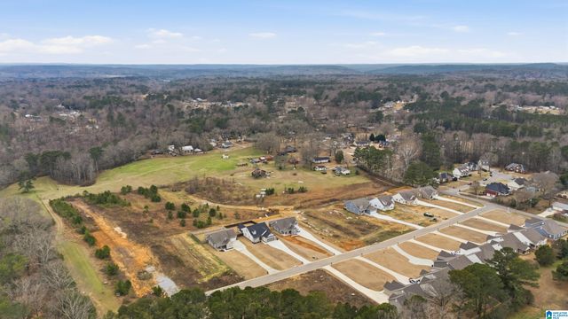 1458 BROOKS DRIVE, Mount Olive, AL 35117