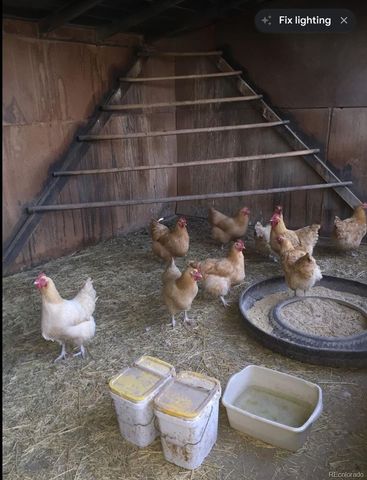 900 Pond Terrace, Fountain, CO 80817