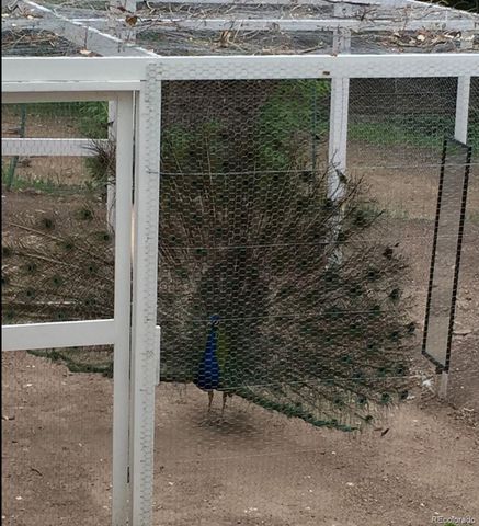 900 Pond Terrace, Fountain, CO 80817