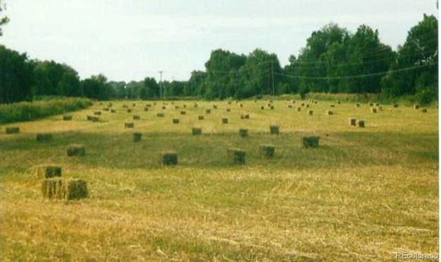 900 Pond Terrace, Fountain, CO 80817