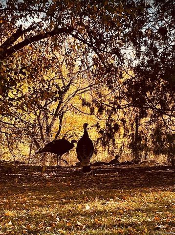 900 Pond Terrace, Fountain, CO 80817