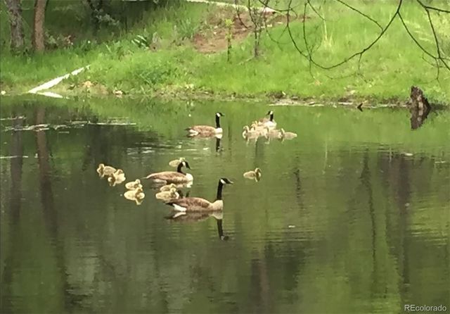 900 Pond Terrace, Fountain, CO 80817