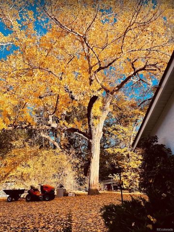 900 Pond Terrace, Fountain, CO 80817