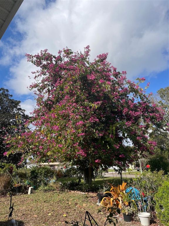 Image 32 of property listing at 260 W HARBORD STREET, Lake Alfred, FL 33850