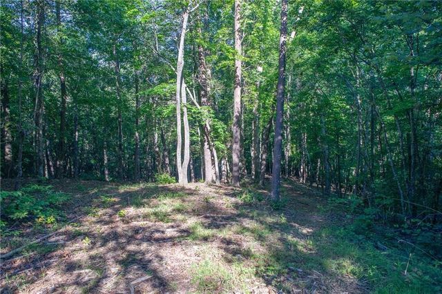 0 Kerns Ridge Court, Dawsonville, GA 30534