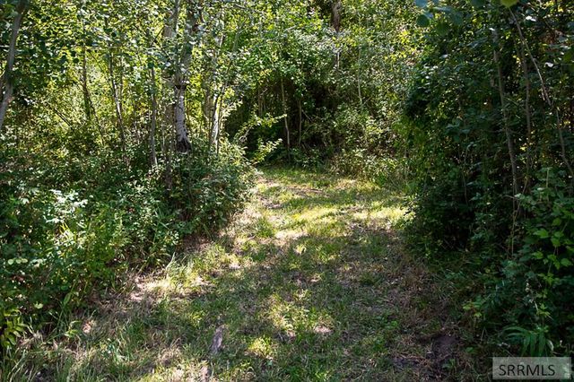 28 Fife Lane, Salmon, ID 83467