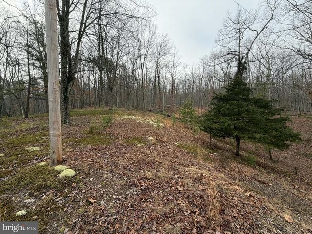 81 HERSHEL LN, High View, WV 26808