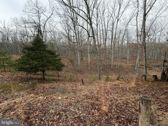 81 HERSHEL LN, High View, WV 26808