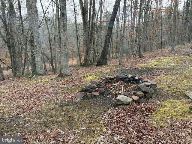 81 HERSHEL LN, High View, WV 26808