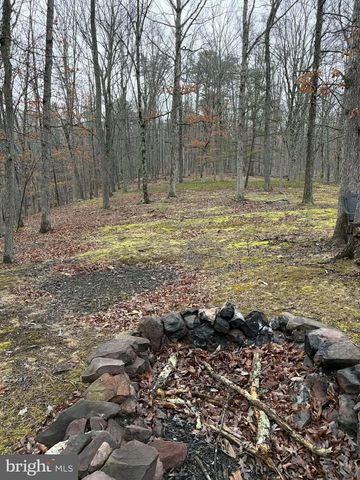 81 HERSHEL LN, High View, WV 26808