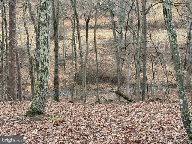 81 HERSHEL LN, High View, WV 26808