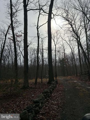 81 HERSHEL LN, High View, WV 26808