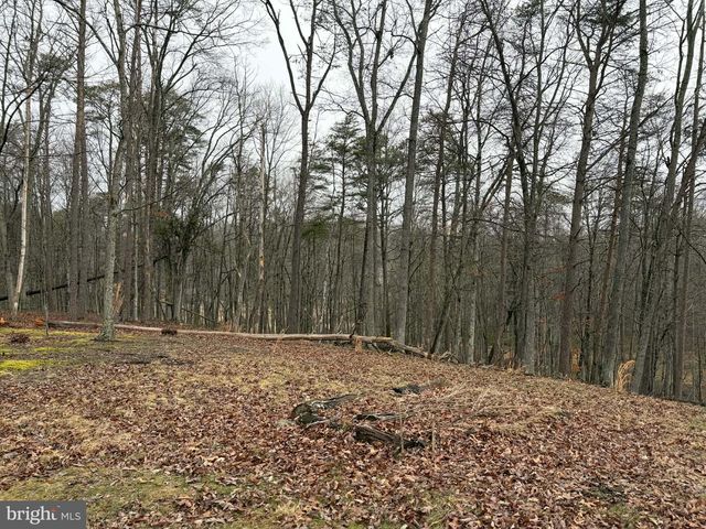 81 HERSHEL LN, High View, WV 26808