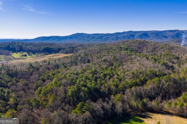 17.29 AC Pleasant Oak Trail 5 PART OF, Ellijay, GA 30540
