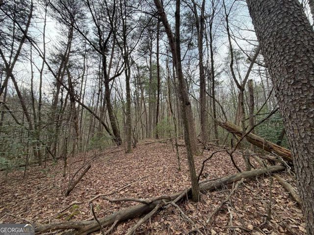 17.29 AC Pleasant Oak Trail 5 PART OF, Ellijay, GA 30540