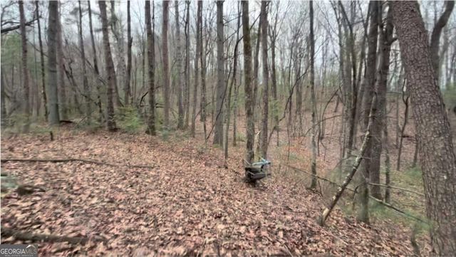 17.29 AC Pleasant Oak Trail 5 PART OF, Ellijay, GA 30540
