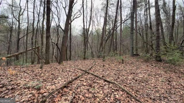 17.29 AC Pleasant Oak Trail 5 PART OF, Ellijay, GA 30540